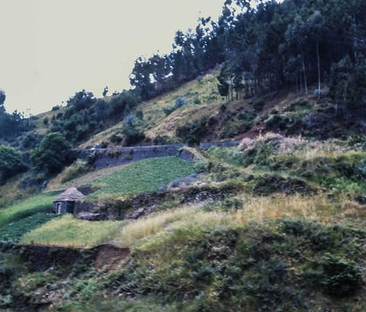 IMAG0055