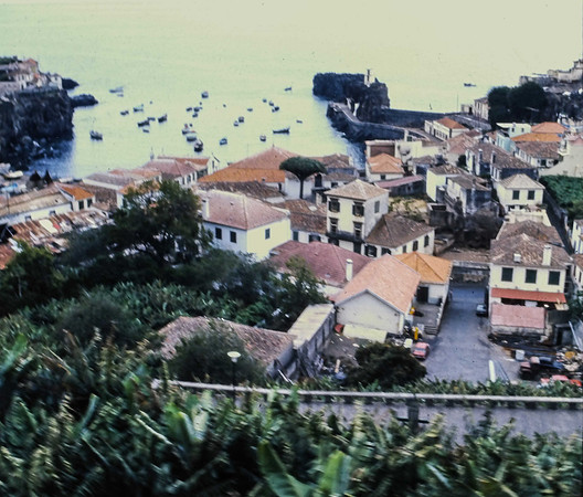 IMAG0056