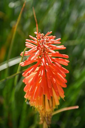 GAK_8057