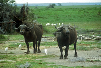 FH000008.jpg