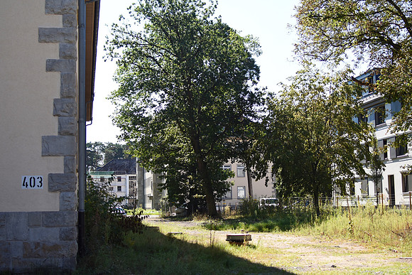 GEN_8487