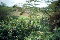 FH000007.jpg