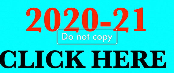 Screen Shot 2021-03-01 at 3.01.08 PM