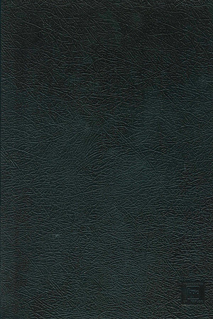 Image (2)