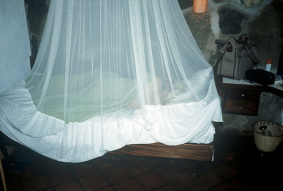FH000021.jpg