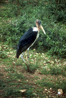 FH000006.jpg