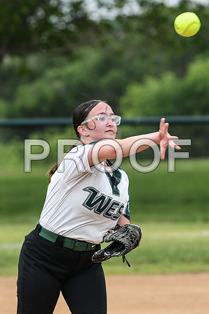 DSC_2037