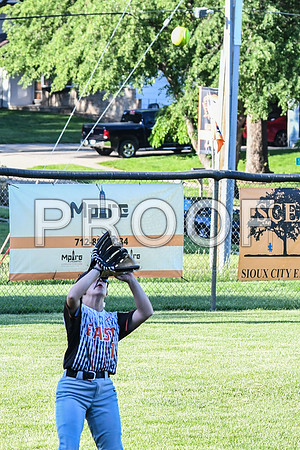 DSC_1516
