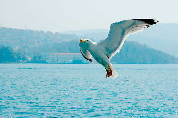 07-04-12-7-8Turkey,Istanbul 250.jpg