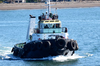 GEN_8521