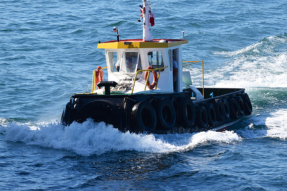 GEN_8507