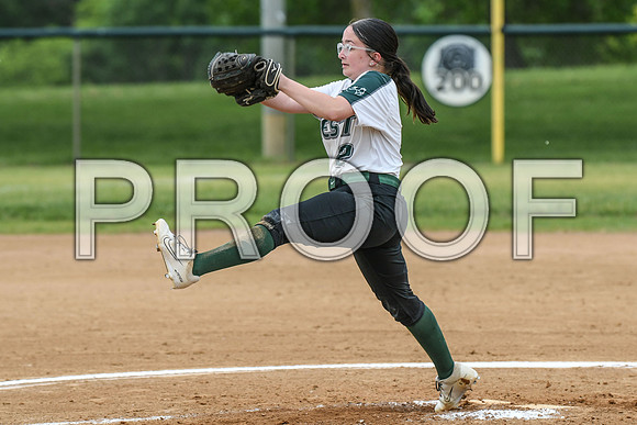 DSC_2011