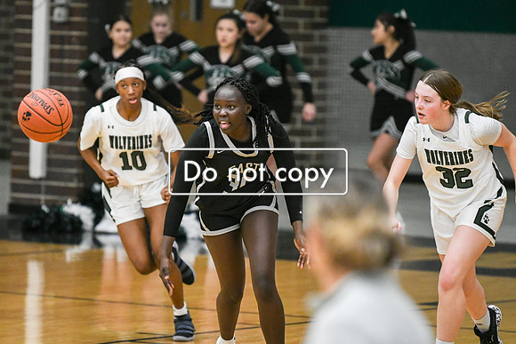 GAG_3484