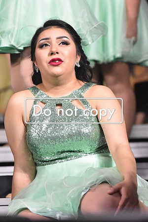 DSC_7194