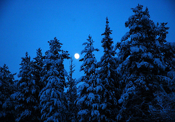 DSC_0319a.JPG