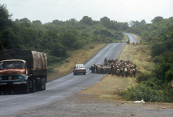 FH000066.jpg