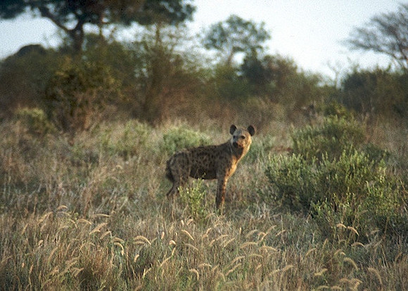 FH000005.jpg