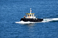 GEN_8504
