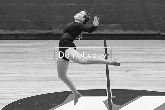 GEN_0743-2