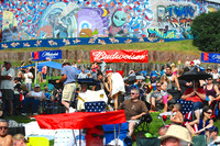 2014 SATURDAY IN THE PARK, Bonnie Raitt, Ziggy Marley, Buddah Cheese Band and Shawn James and the Sh