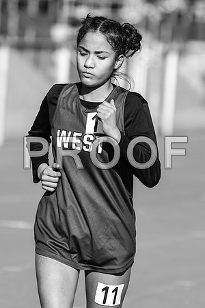 DSC_1528-2