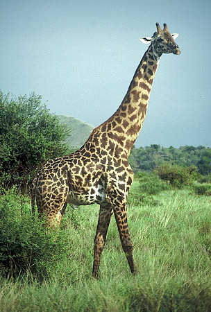 FH000015.jpg