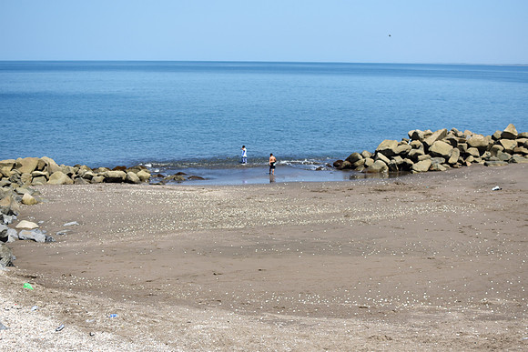 GEN_8460