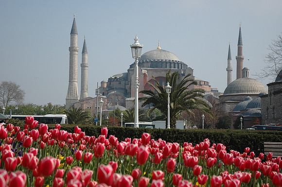 07-04-12-7-8Turkey,Istanbul 483.jpg