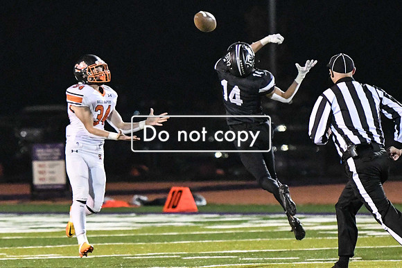 GAG_8842