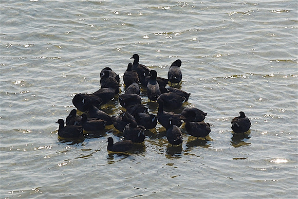 GEN_7819
