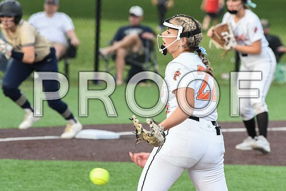 DSC_3079
