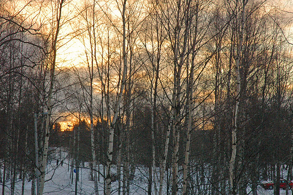 DSC_0109.JPG