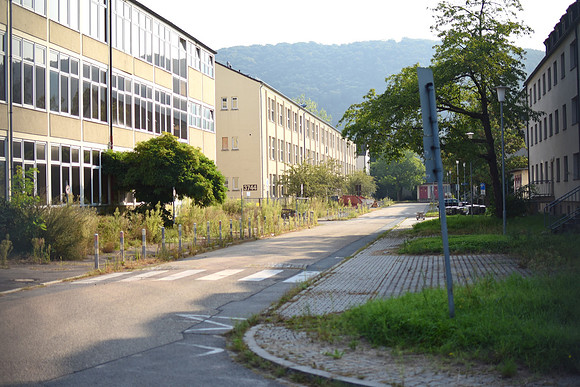 GEN_8800