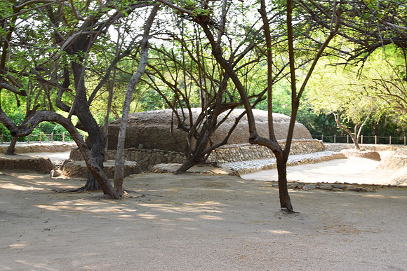 GEN_7671