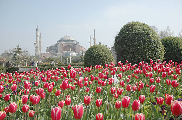 07-04-12-7-8Turkey,Istanbul 481.jpg