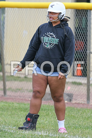 DSC_2117