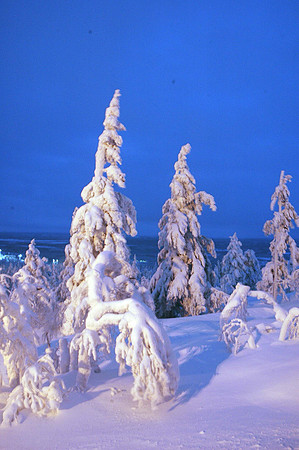 DSC_0250.JPG