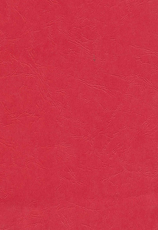 Image (2)