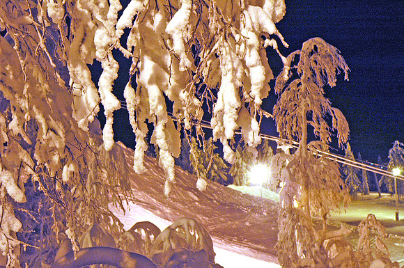 DSC_0376.JPG